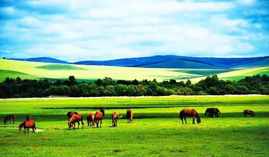 外交部发言人谈内蒙古发展态势