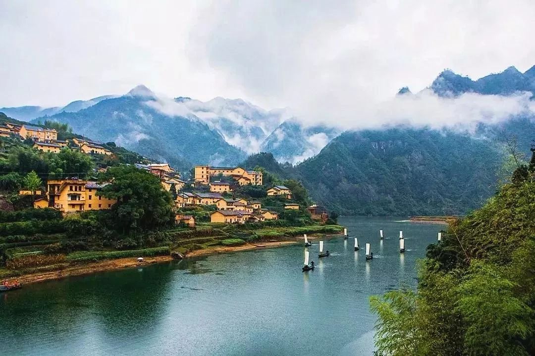 浙江任务完成指南，一步步掌握技能与实践步骤