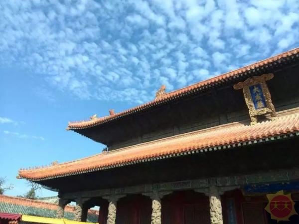 齐鲁文化精髓，山东历史文化地理全景