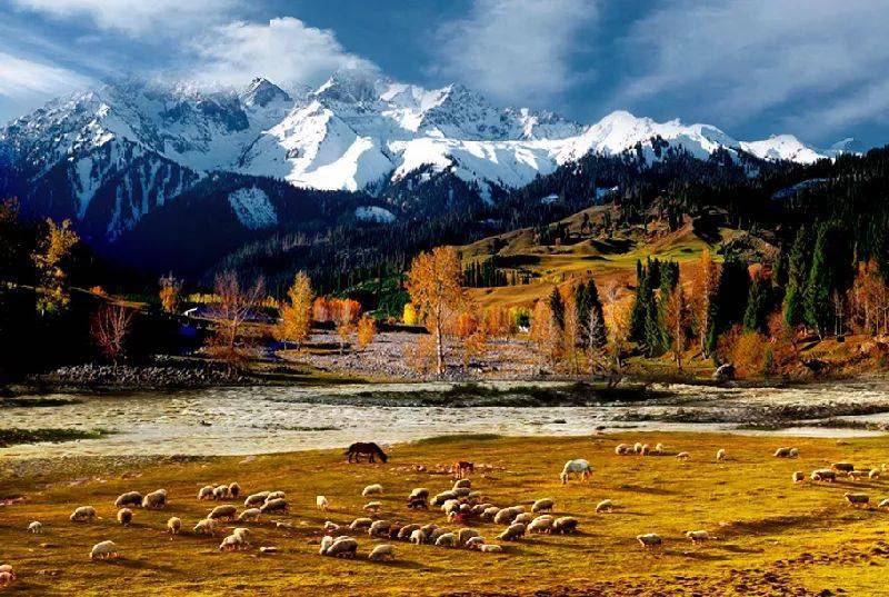 新疆，友情与家的温暖甜蜜日常