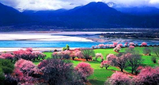 高原欢歌——西藏笑声掠影