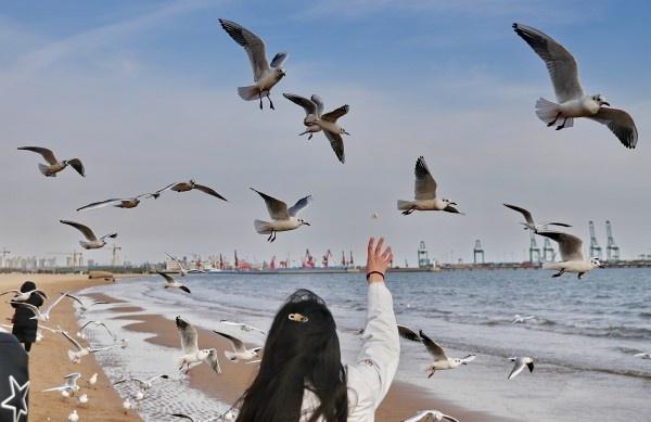 梦想起航,秦皇岛的魅力之城